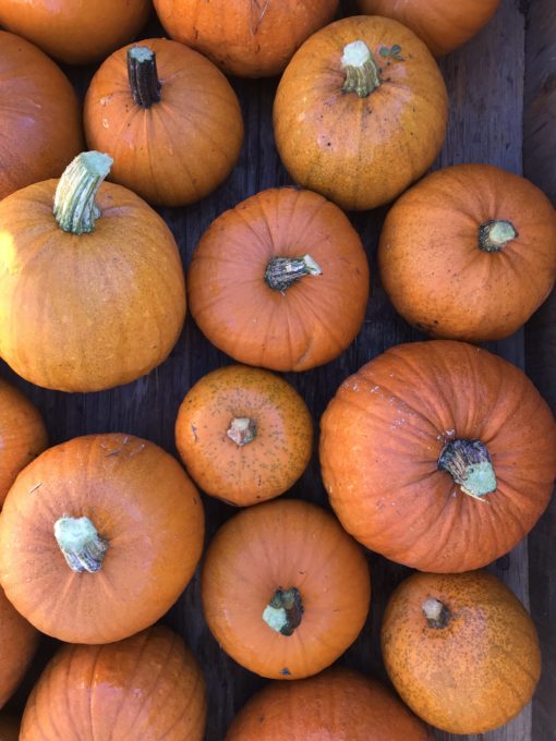 Pumpkin product image