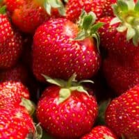 Fair Fields Strawberries Organic Strawberries